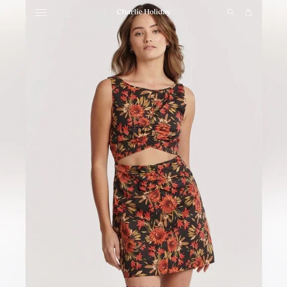 charlie holiday mini dress Charlie Holiday Palma Mini Dress